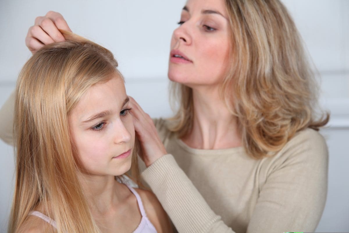 Causes symptoms and treatments of head lice AKA nits