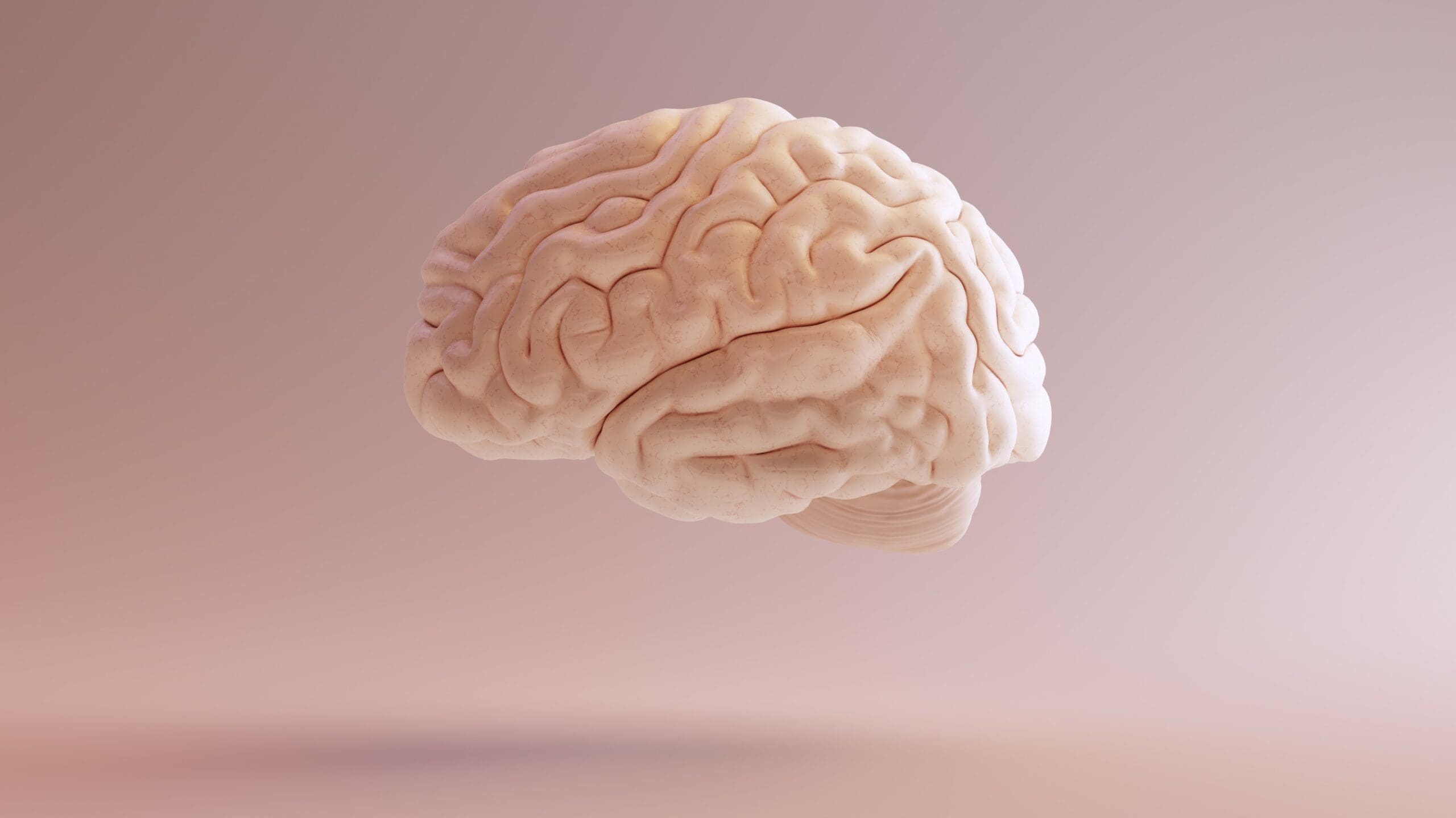 Video: Brain awareness