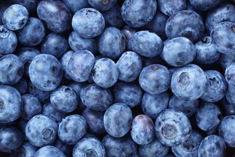 Blueberry extract could help in cancer radiation treatment