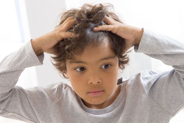 Head Lice: All you need to know