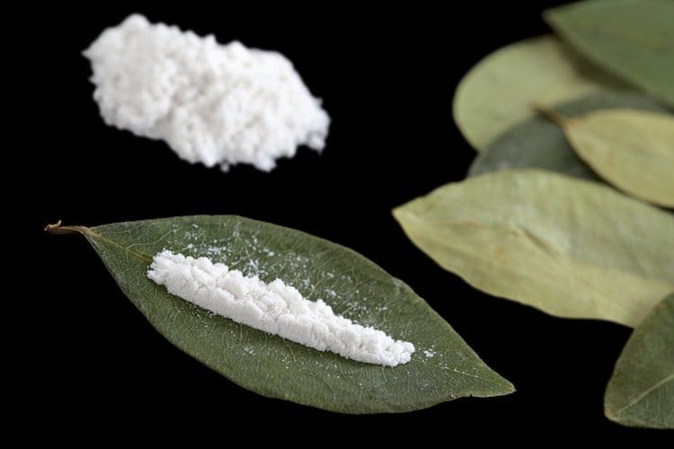 Cocaine: what is it?