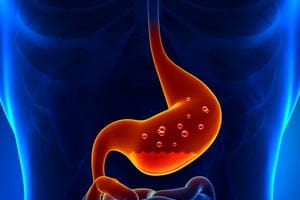 Gastro-oesophageal reflux: tests and investigations