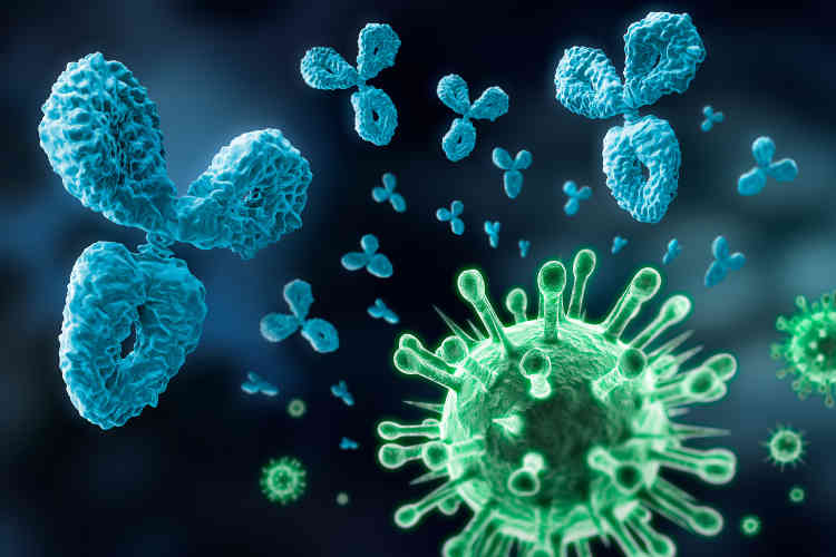 Hepatitis C antibodies and antibody testing