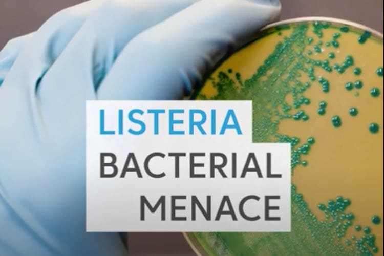 Listeria: bacterial menace in frozen vegetables