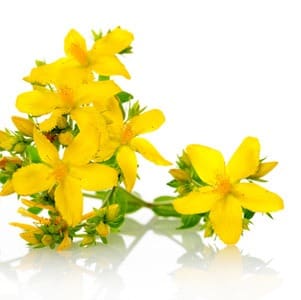 St John’s wort adverse reactions highlighted