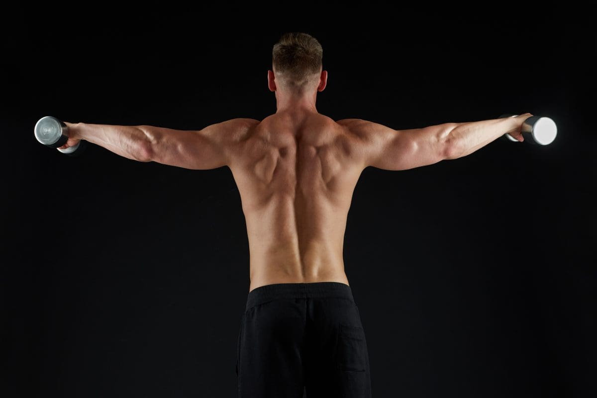 Muscle workout: deltoids