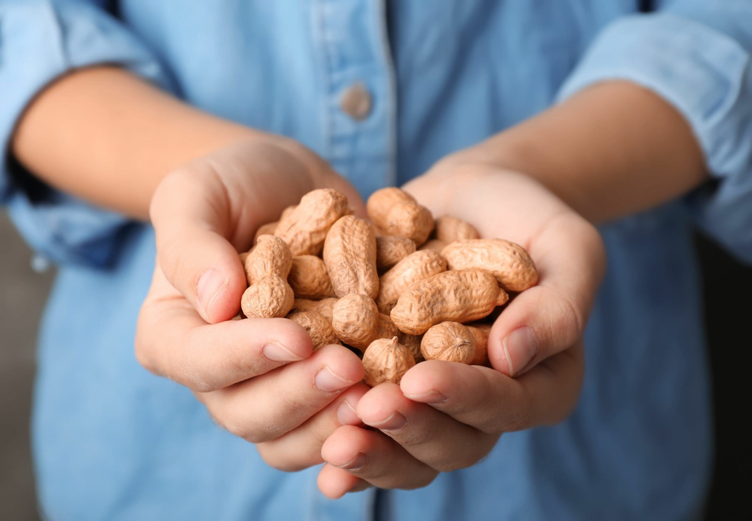 Can eating peanuts cure a peanut allergy?