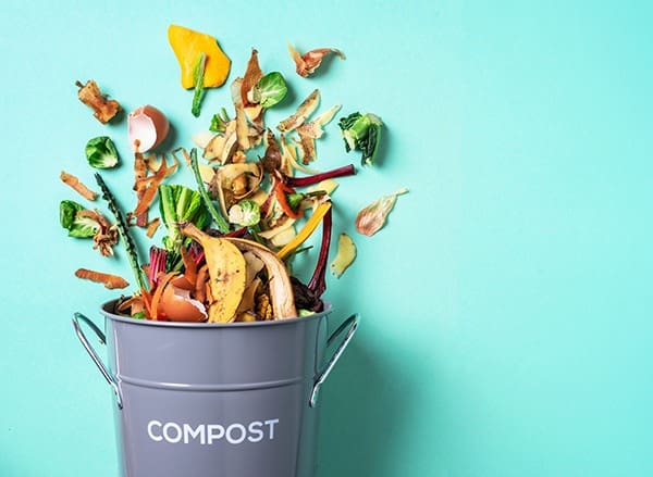 Food waste habits uncovered in US survey