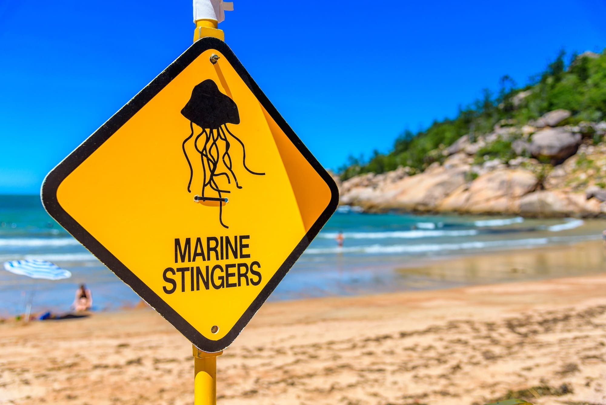 First aid for marine bites and stings