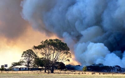 7 Ways to help patients prepare for bushfire season