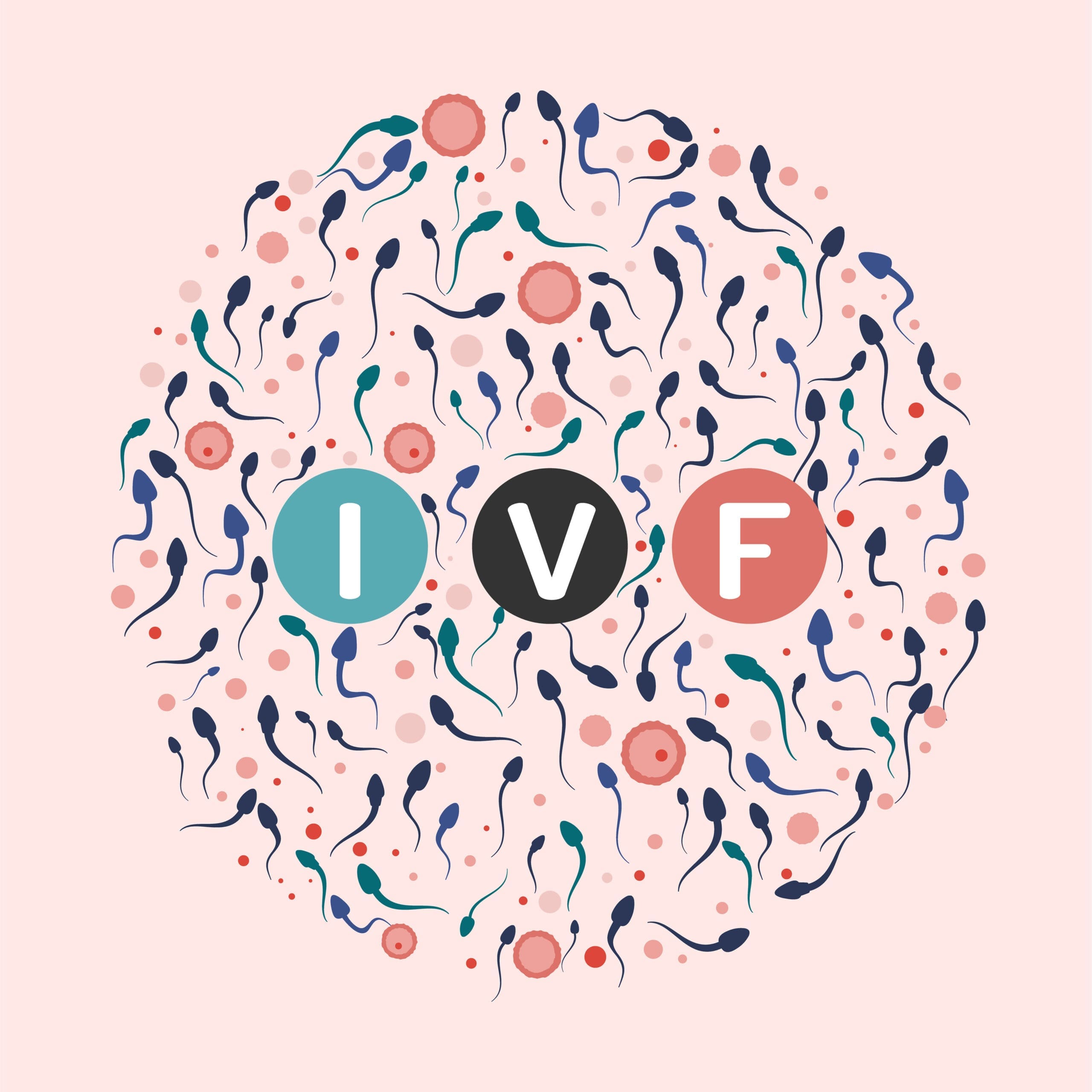 What is IVF Treatment? Dr. Katrina Rowan