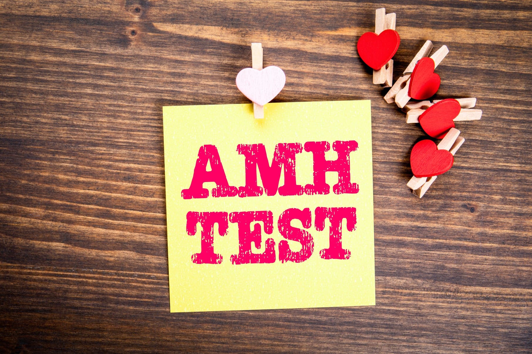 What is Anti Mullerian Hormone (AMH) Test and Ovarian Reserve?