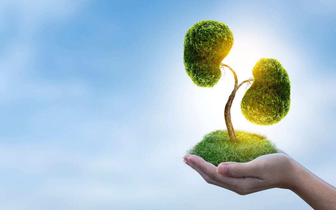 How to keep your kidneys healthy