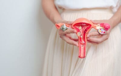 Reproductive health and your fertility